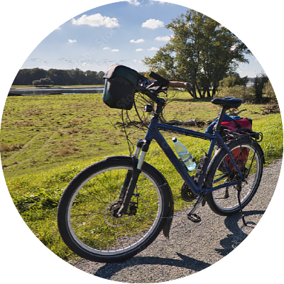 Foto von einem Fahrrad auf einem Fahrradweg im Grünen in der Nähe des Hotels Elbebrücke bei Dessau