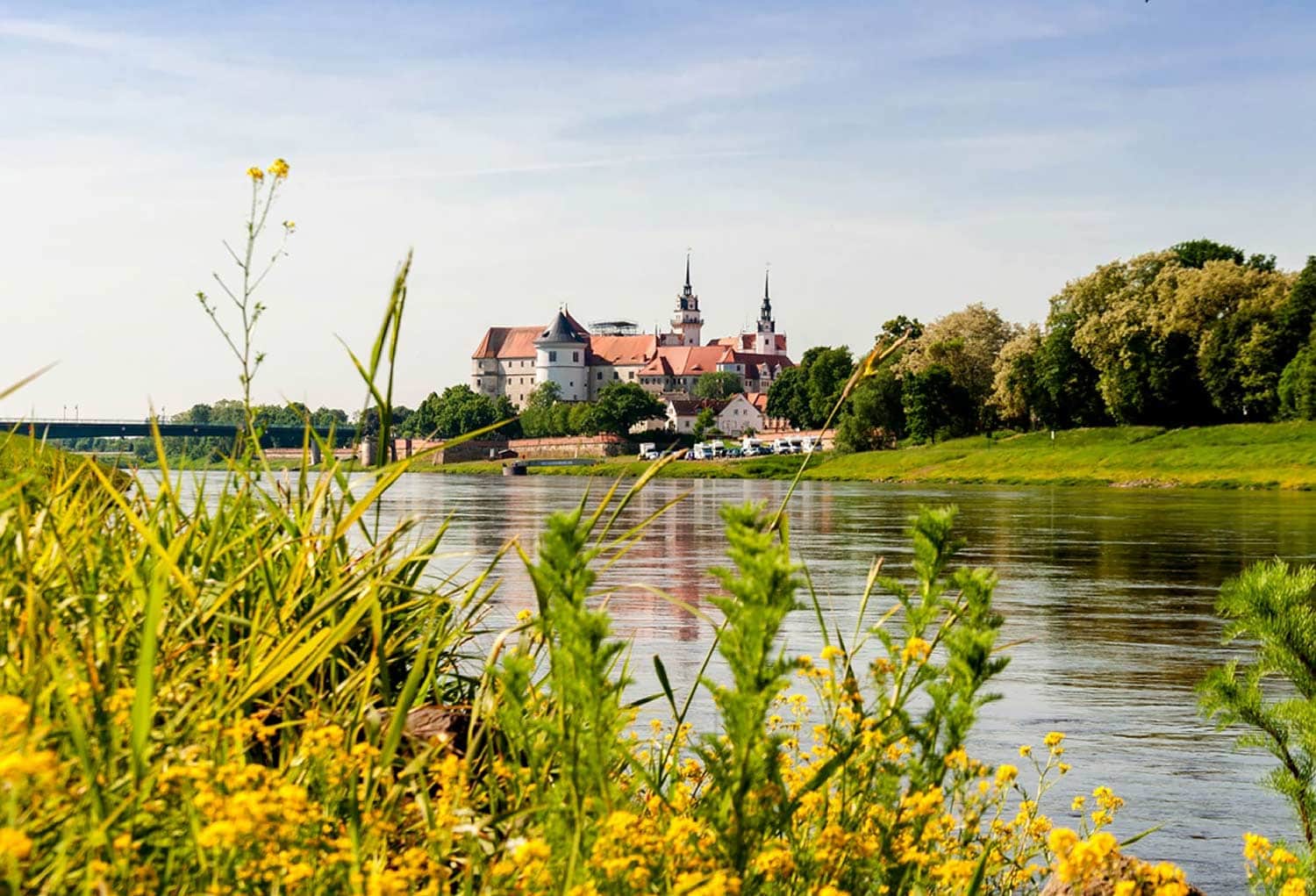 Foto vom Ufer der Elbe und einem kleinen Städtchen im Hintergrund, aufgenommen nahe eines Fahrradhotels an der Elbe