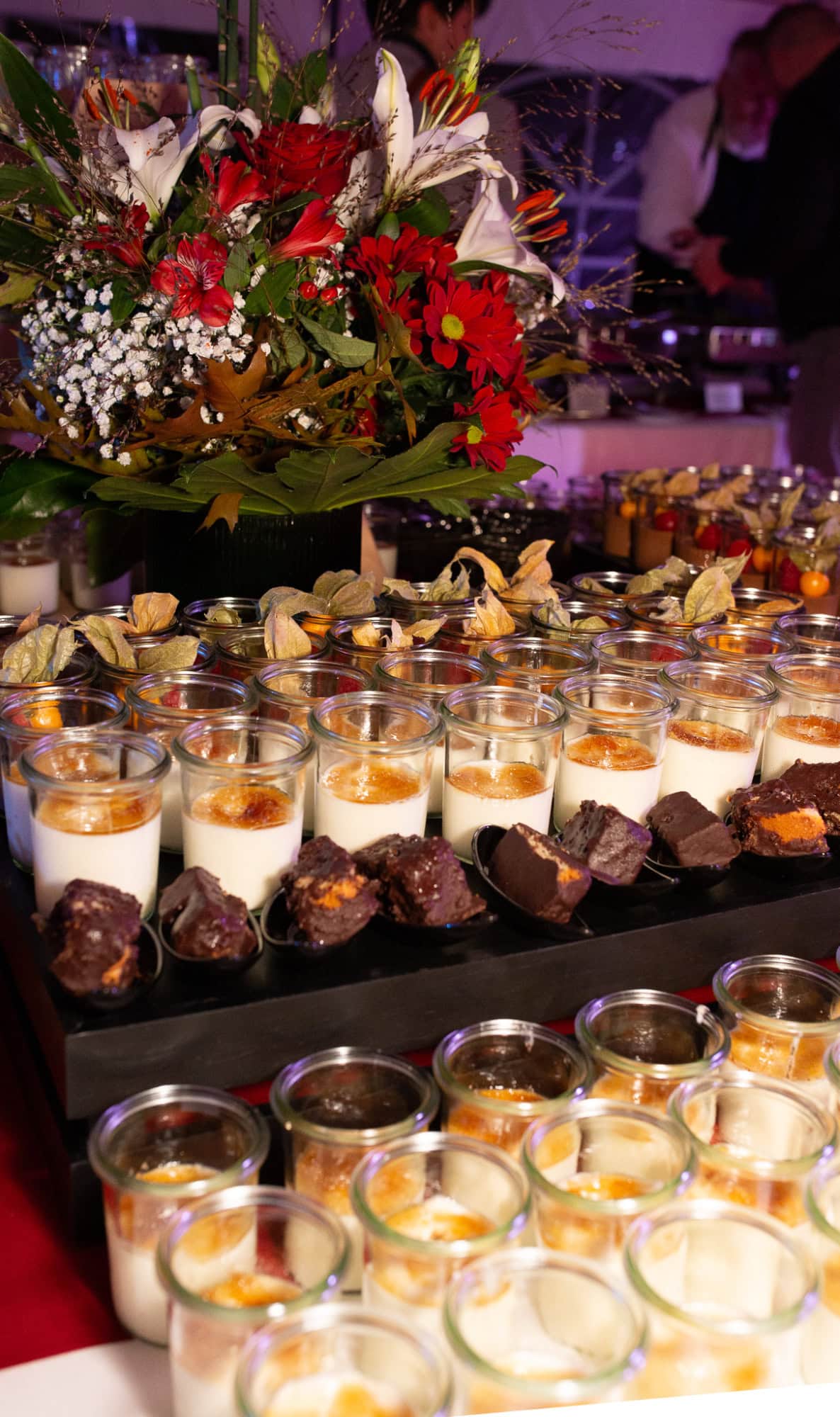 Eröffnungsfeier Alberts Treibhaus