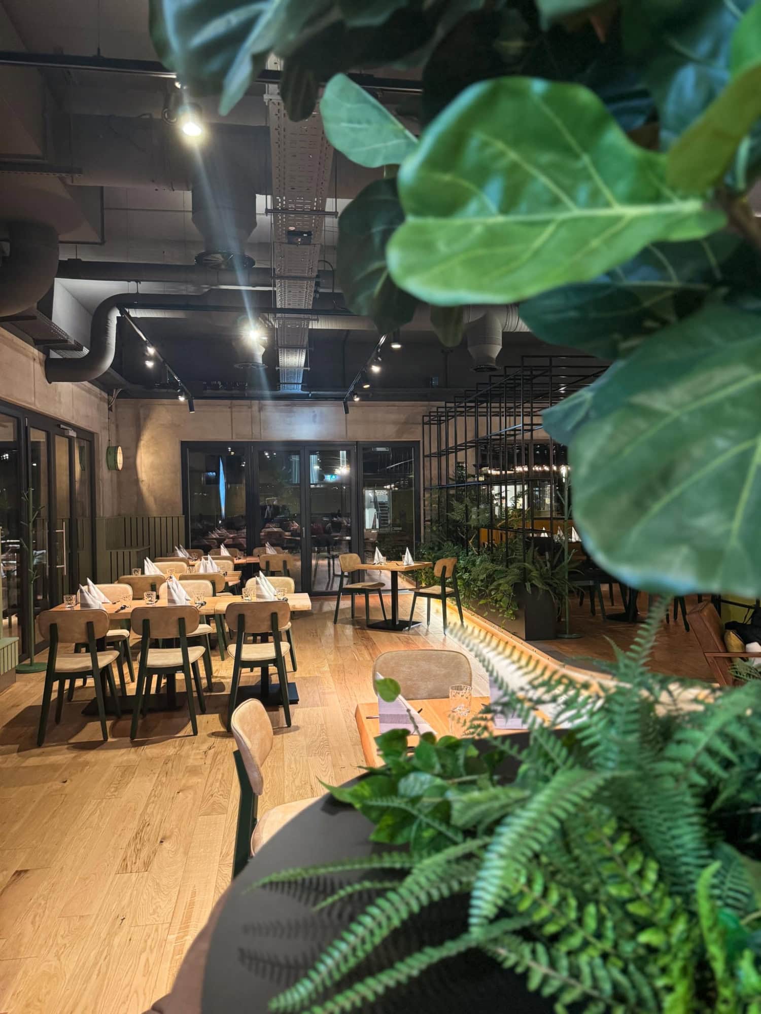 Innenansicht des Retaurant Alberts Treibhaus in Abendstimmung