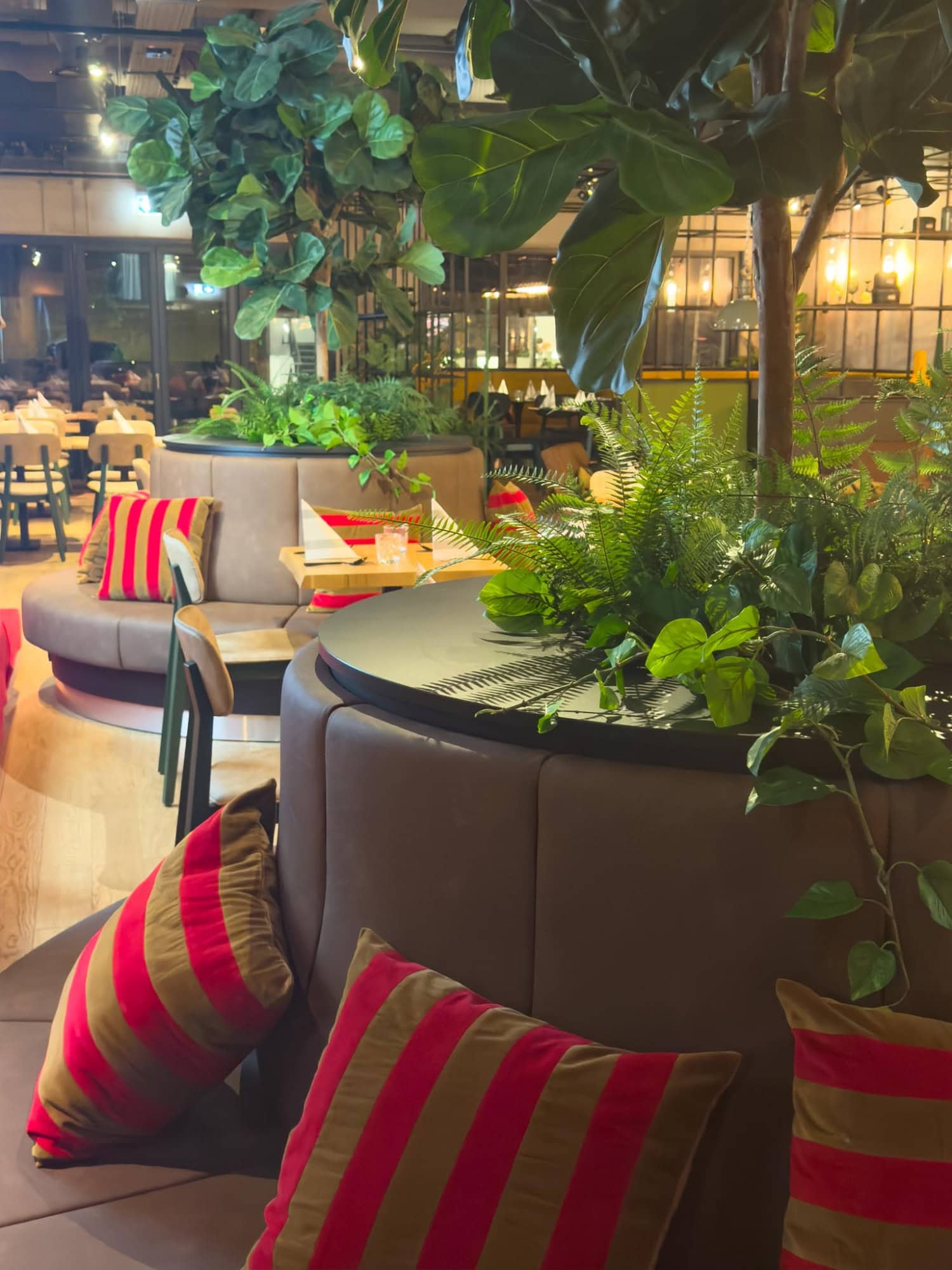 Innenansicht Alberts Treibhaus, Nahaufname einer runden Sitzgrupe mit rot-grau gestreiften Kissen