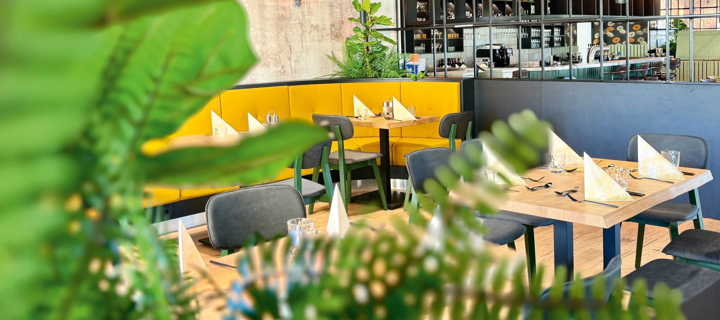 Innenaufnnahme des Restaurants Alberts Treibhaus mit grünen Pflanzenim Vordergrund